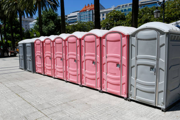 Types of Portable Toilets We Offer in Poulsbo, WA